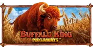 ภาพเกม Buffalo King Megaways ที่ tg456 รวบรวมไว้